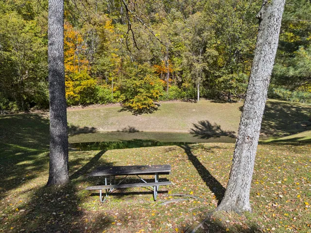 a view of swimming pool with a yard