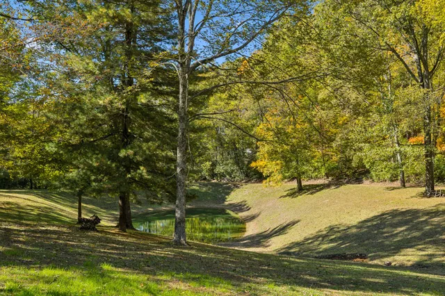 a view of ocean view