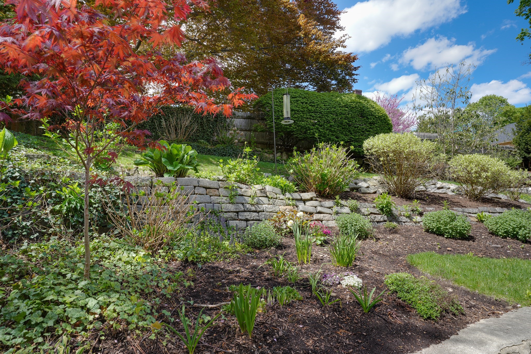54 Elizabeth Road Belmont, MA 02478 - Photo 2 of 42 Gallery Image 2