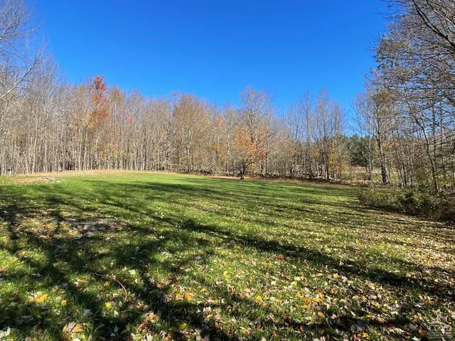 a view of a grassy field with trees in the background