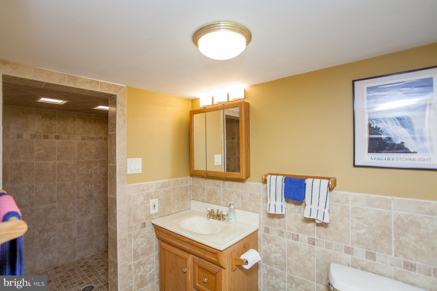 159 Oak Summit Road Frenchtown, NJ 08825 - Photo 74 of 106
