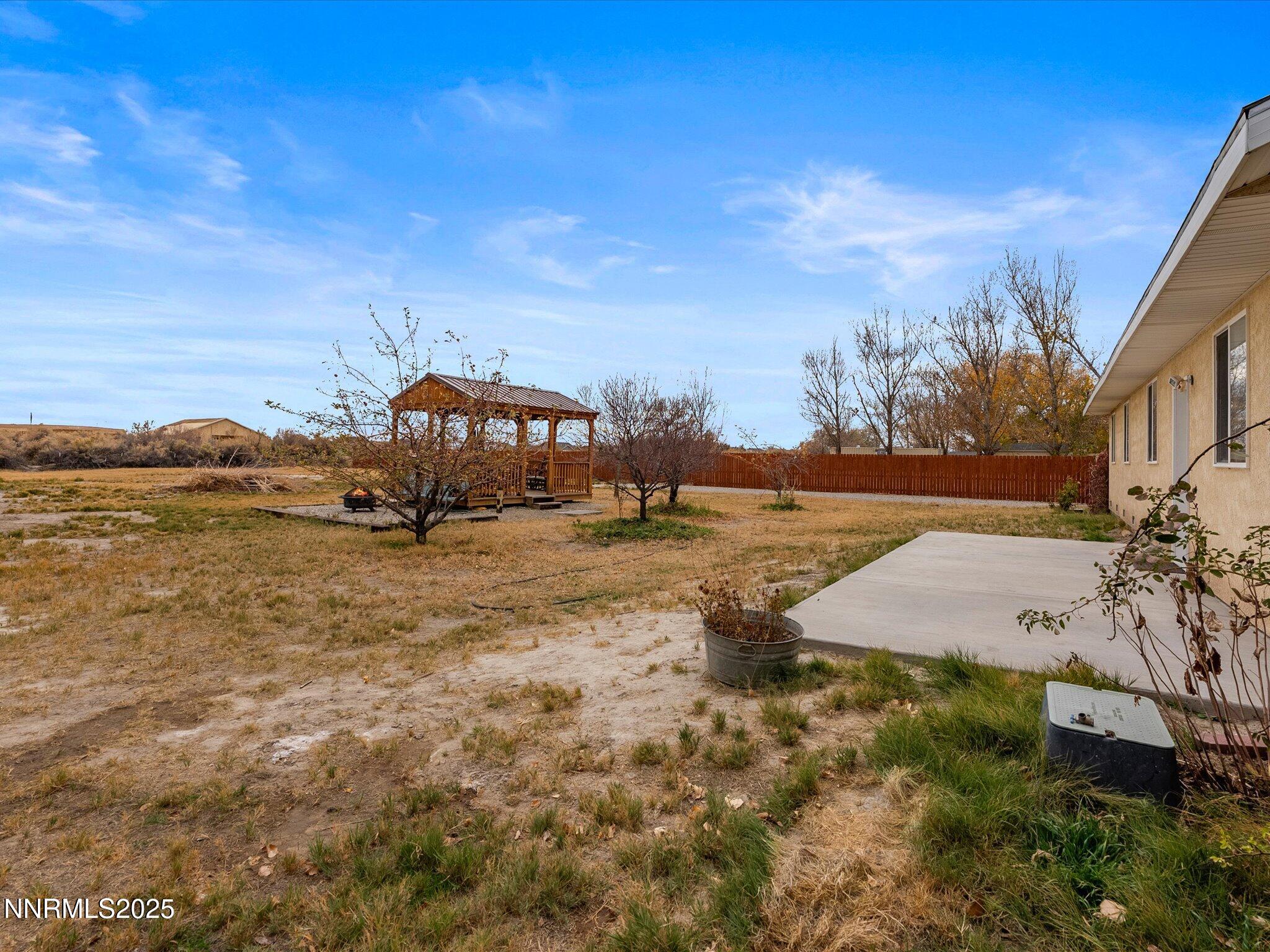 215 Hunter Park Way Fallon, NV 89406 - Photo 39 of 57 a view of a yard with an trees
