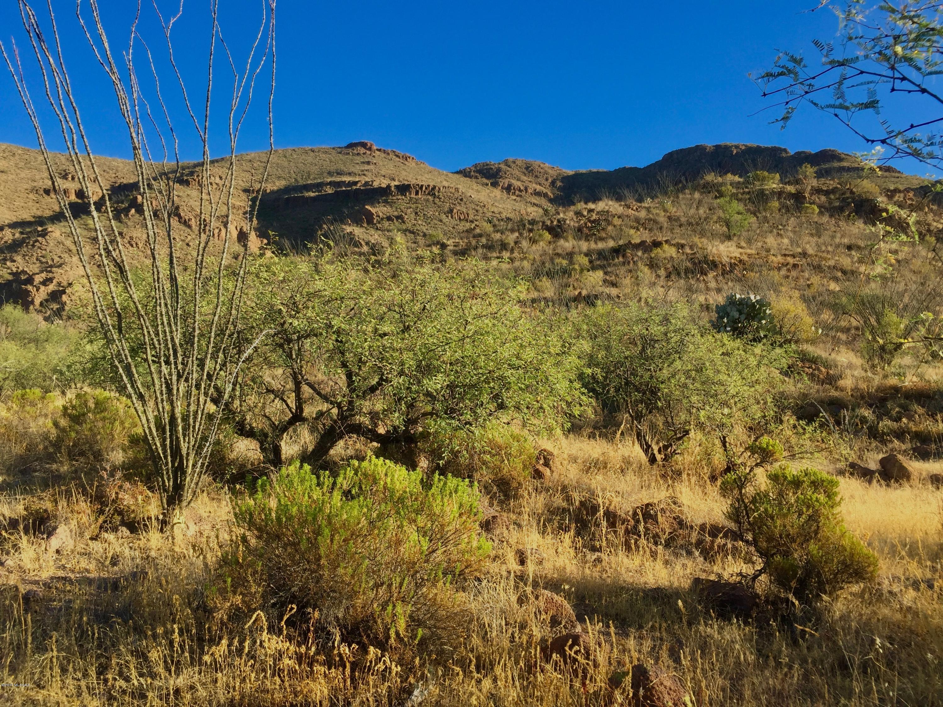 88 Salida Spring Way, Unit 122 Rio Rico, AZ 85648 - Photo 17 of 19