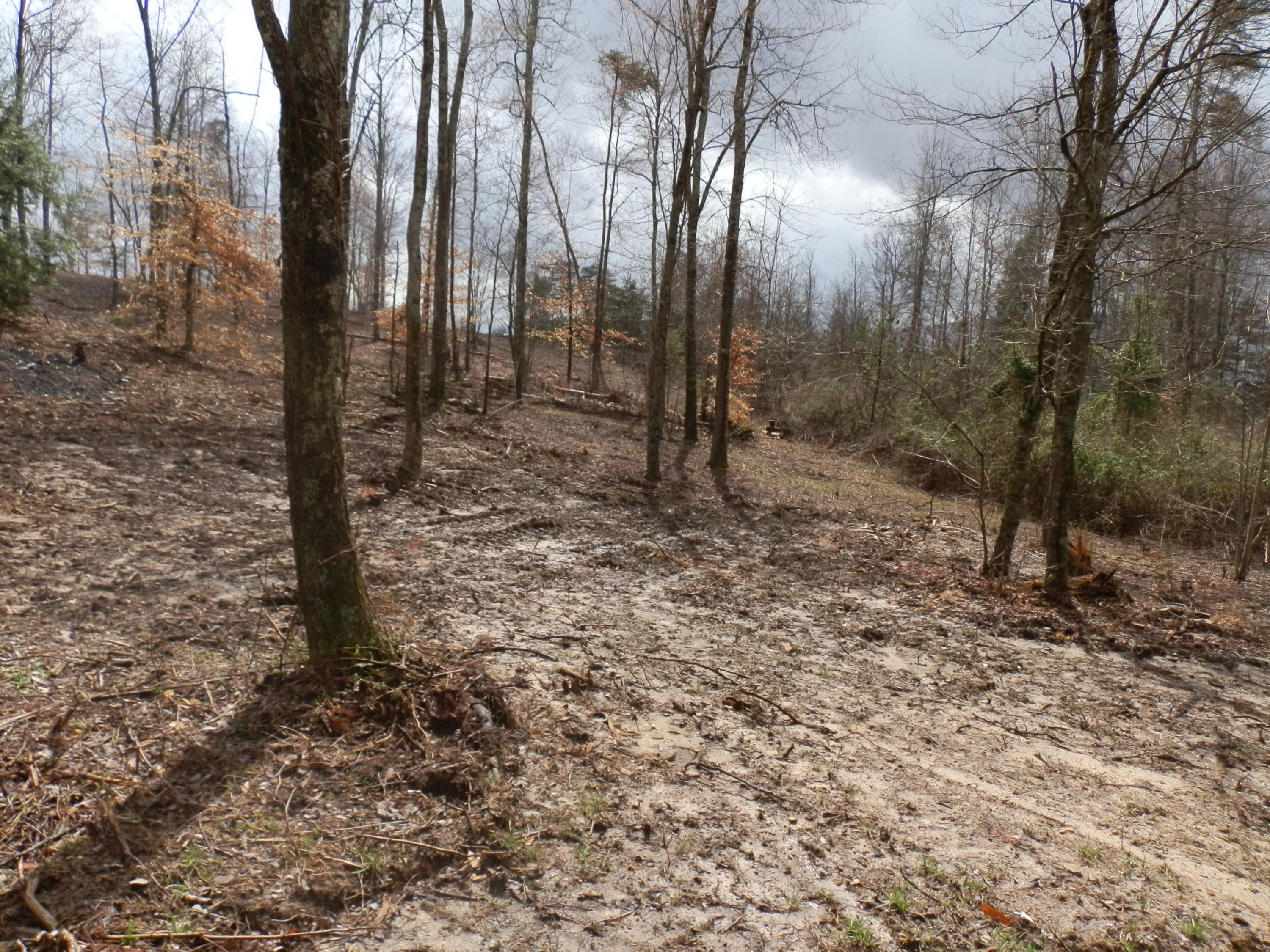 6 Hanging Rock Road Dunlap, TN 37327 - Photo 3 of 9 P3140004