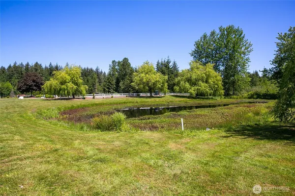a view of a swimming pool with a yard