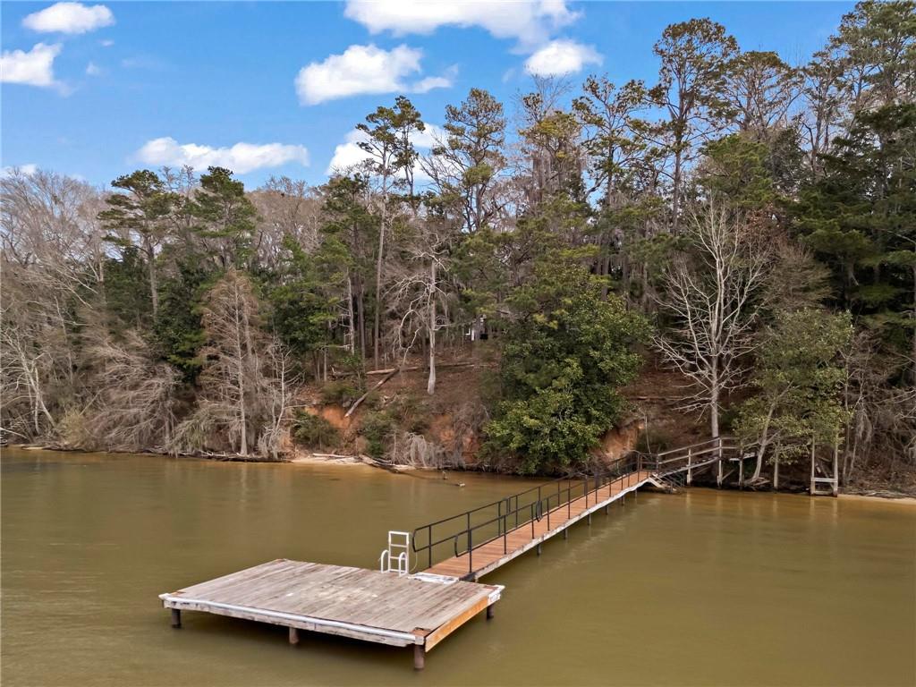 12 Rosalyn Road Georgetown, GA 39854 - Photo 4 of 102 a view of a lake with houses