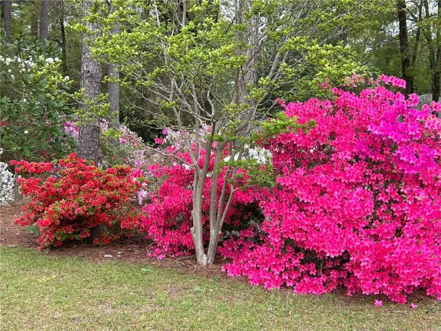 $750,000 | 12 Rosalyn Road, Georgetown, GA 39854