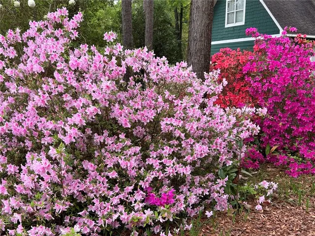 $750,000 | 12 Rosalyn Road, Georgetown, GA 39854