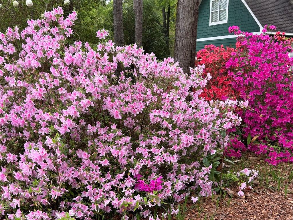12 Rosalyn Road Georgetown, GA 39854 - Photo 63 of 102 a view of yard with flowers and tree