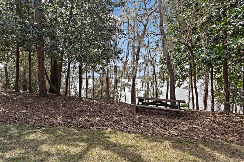 12 Rosalyn Road Georgetown, GA 39854 - Photo 66 of 102 a backyard of a house with lots of green space