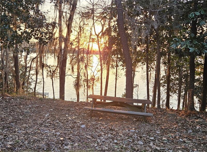 12 Rosalyn Road Georgetown, GA 39854 - Photo 67 of 102 a view of outdoor space with trees