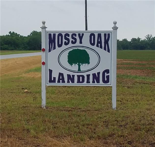 12 Rosalyn Road Georgetown, GA 39854 - Photo 96 of 102