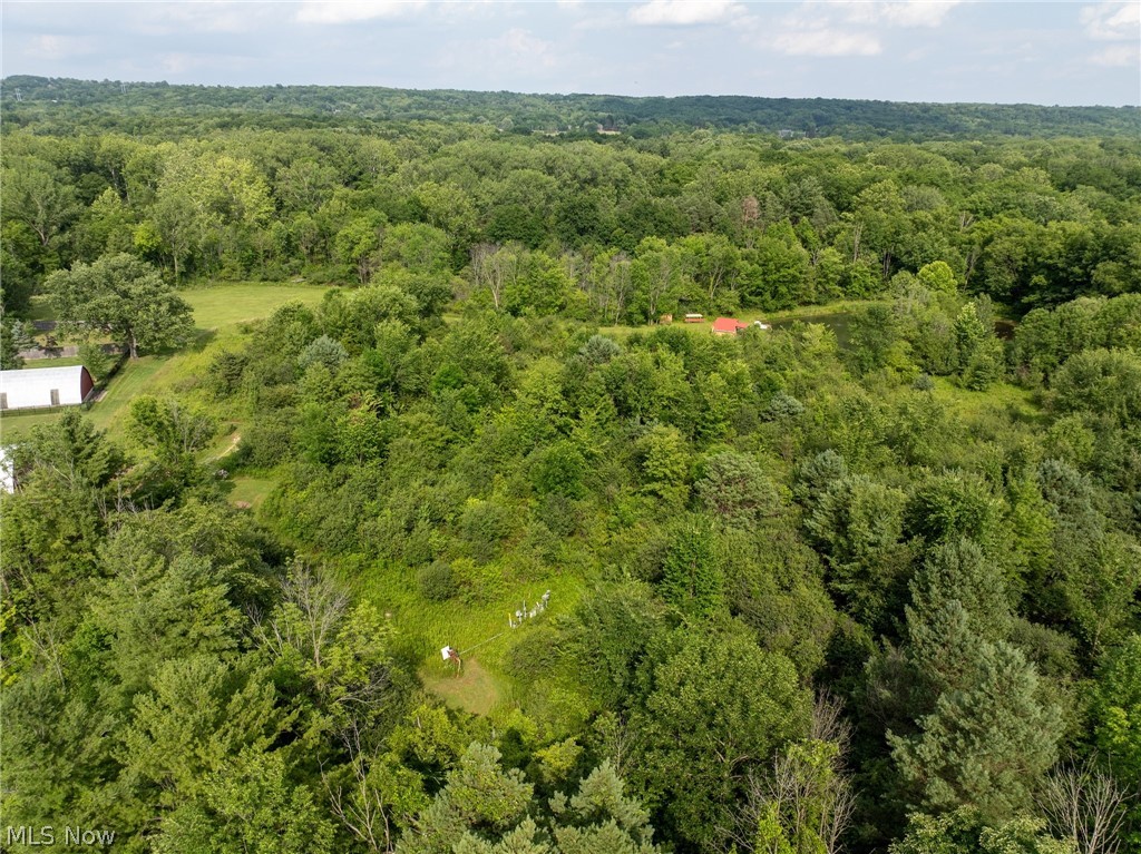 Bennett Road North Royalton, OH 44133 - Photo 25 of 26 Expansive wooded acreage, with natural gas pump in lower middle.