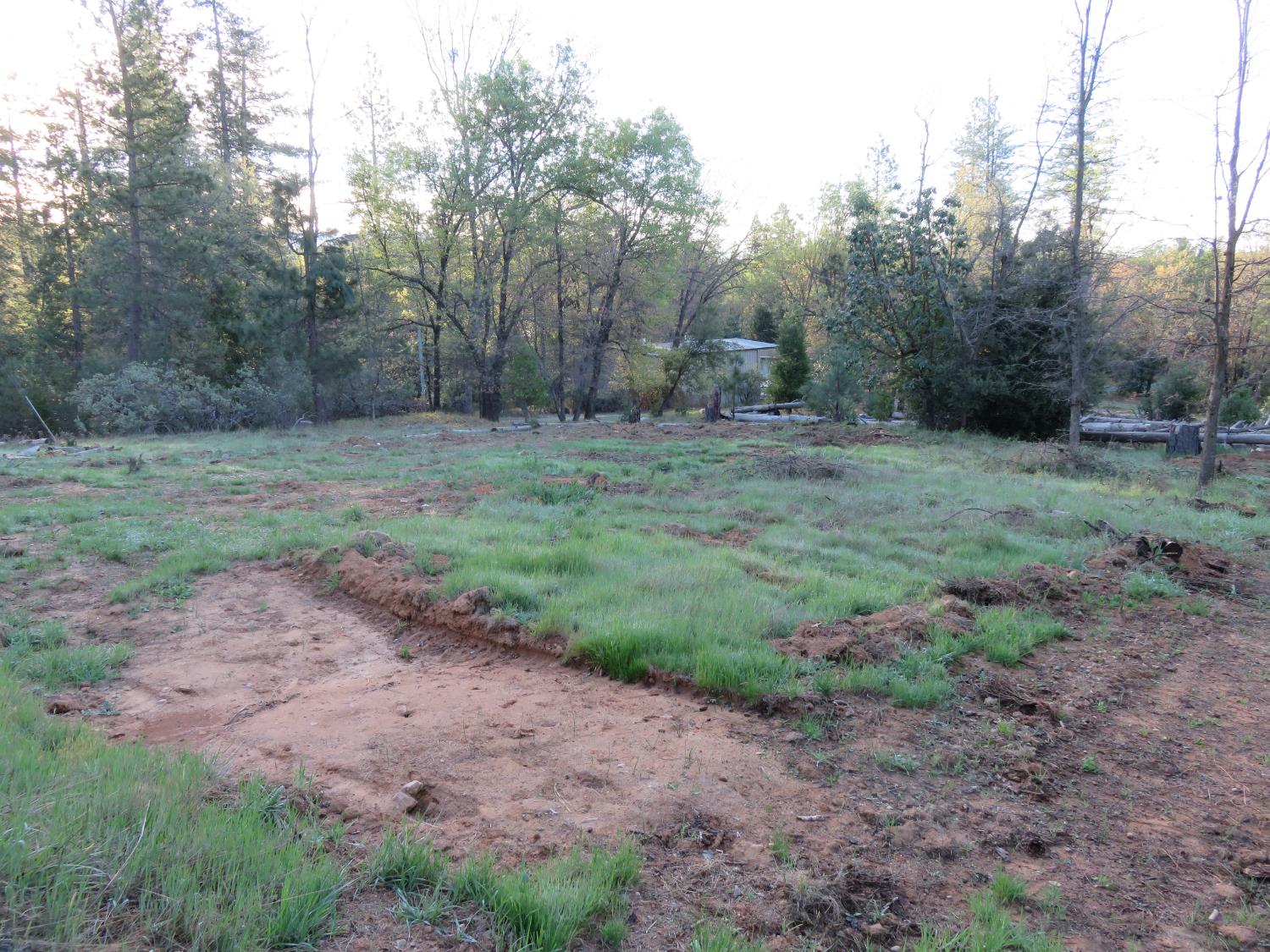 190 Bald Mountain Road West Point, CA 95255 - Photo 11 of 48 a view of a yard with a tree
