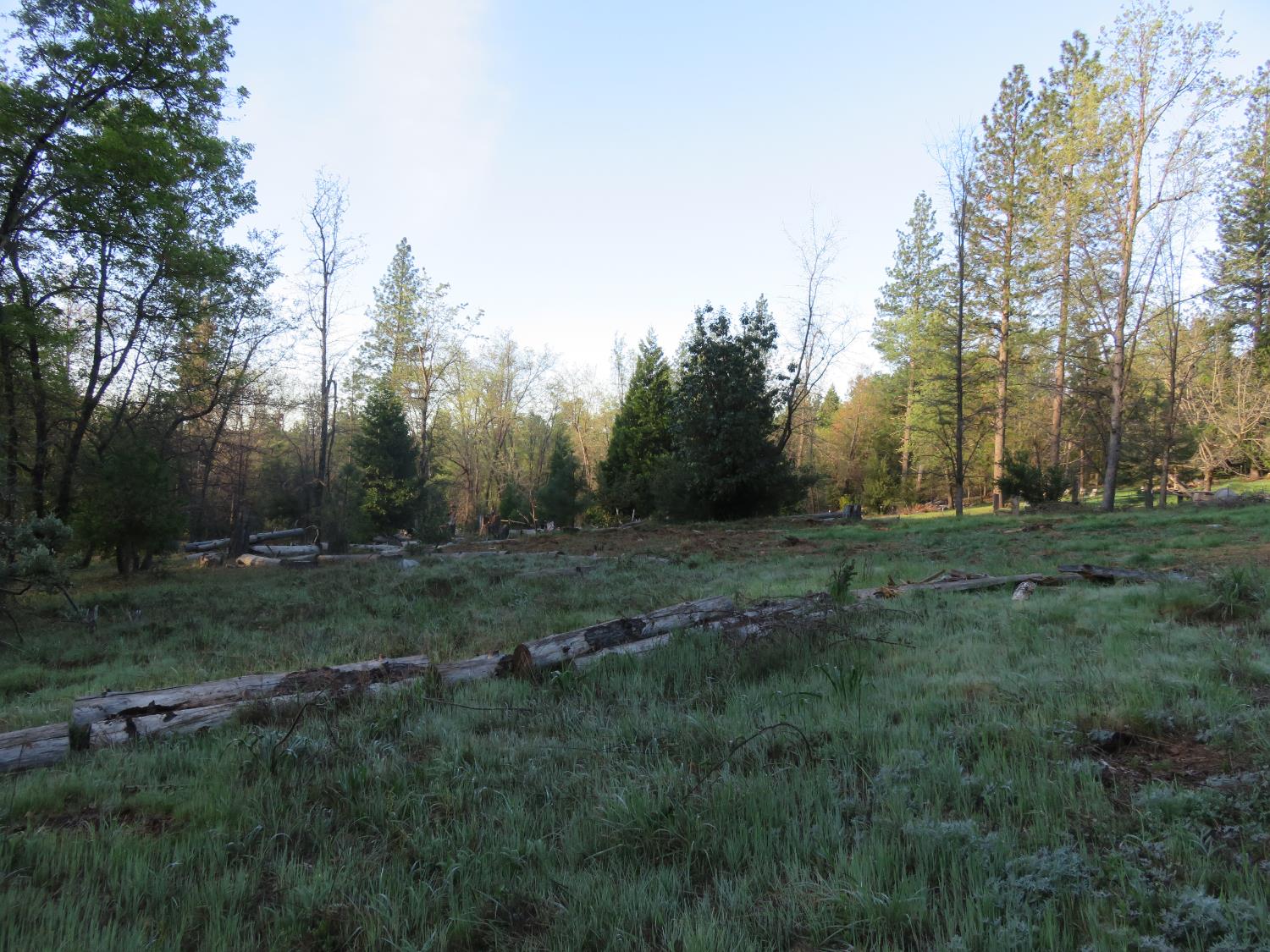 190 Bald Mountain Road West Point, CA 95255 - Photo 13 of 48 a view of a field with trees in the background