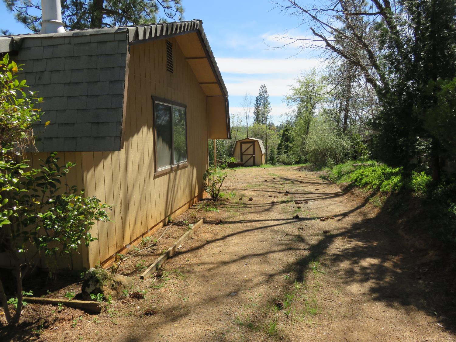190 Bald Mountain Road West Point, CA 95255 - Photo 45 of 48 a view of outdoor space and yard
