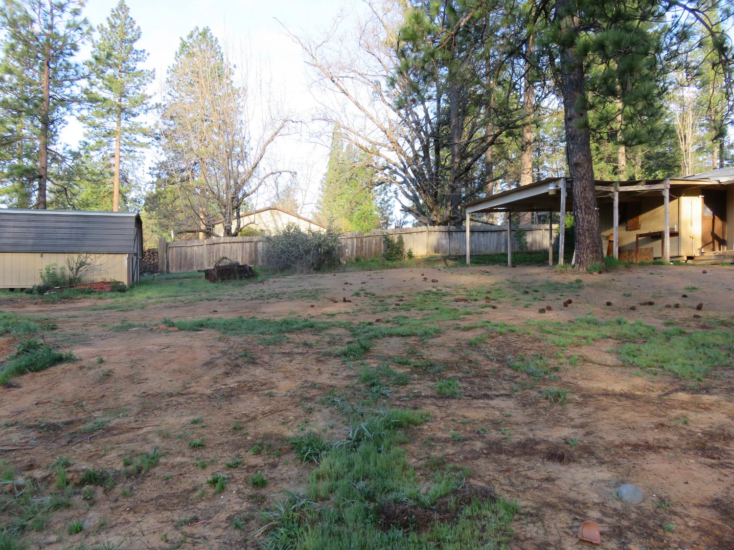 190 Bald Mountain Road West Point, CA 95255 - Photo 7 of 48 a view of a yard with a tree