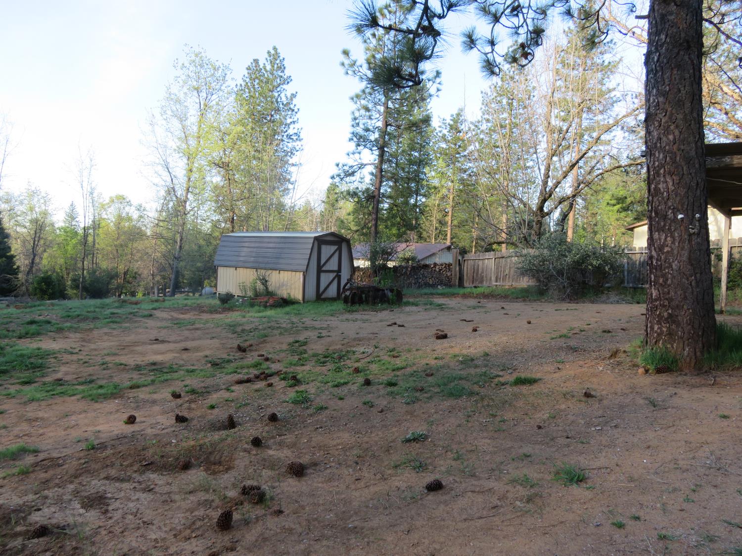 190 Bald Mountain Road West Point, CA 95255 - Photo 9 of 48 a view of a backyard with large trees