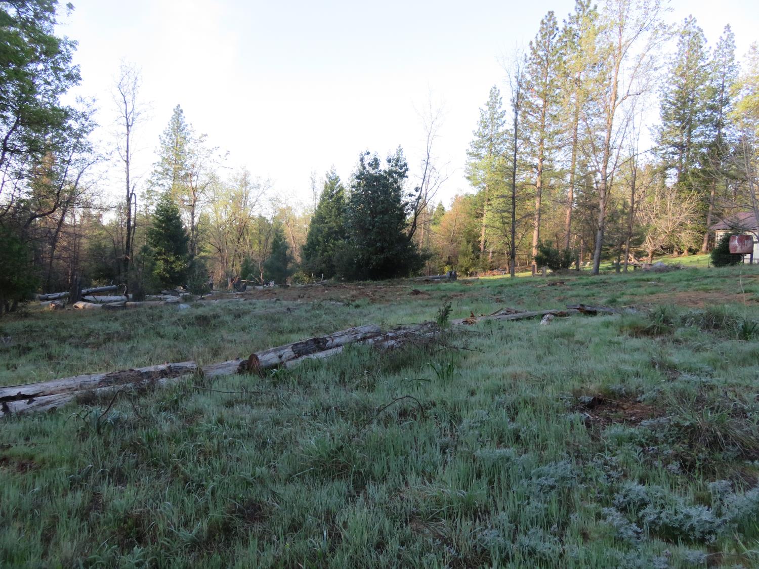 190 Bald Mountain Road West Point, CA 95255 - Photo 10 of 46