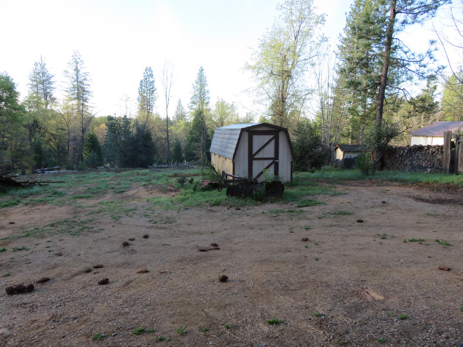 190 Bald Mountain Road West Point, CA 95255 - Photo 10 of 48 a backyard of a house with lots of green space