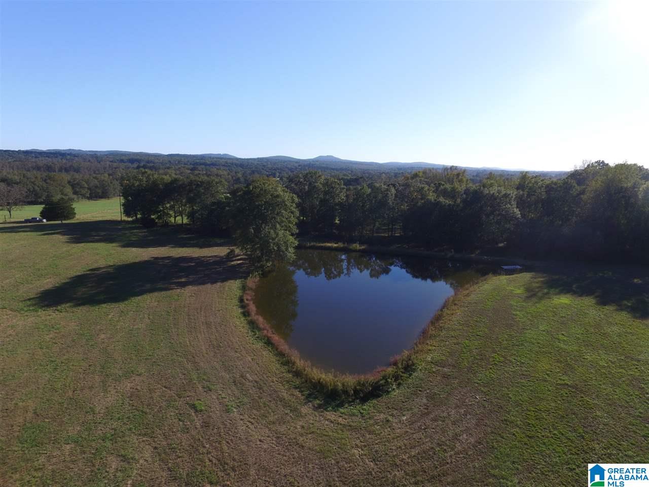 567 Dial Road Blountsville, AL 35031 - Photo 26 of 46