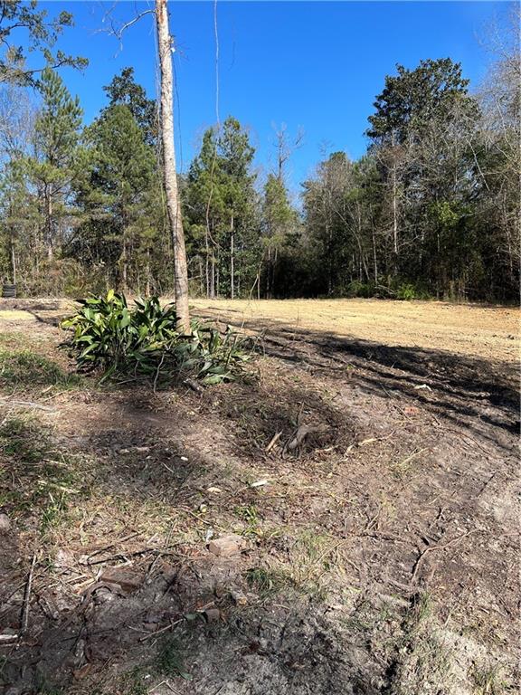 17806 Lane Road Bogalusa, LA 70427 - Photo 15 of 24