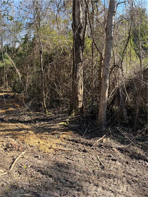 17806 Lane Road Bogalusa, LA 70427 - Photo 16 of 24