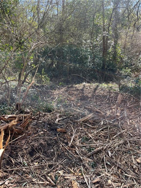 17806 Lane Road Bogalusa, LA 70427 - Photo 17 of 24