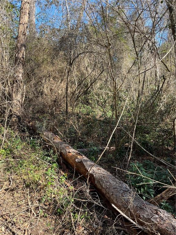 17806 Lane Road Bogalusa, LA 70427 - Photo 18 of 24