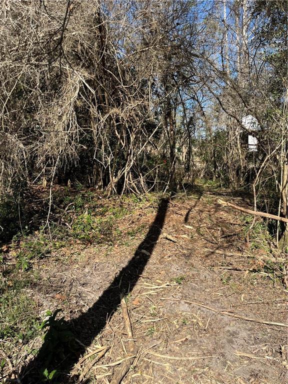 17806 Lane Road Bogalusa, LA 70427 - Photo 19 of 24