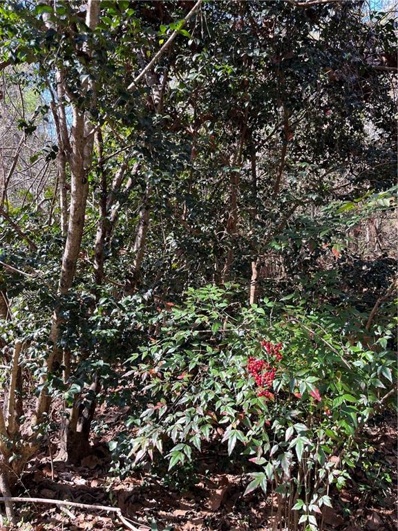 17806 Lane Road Bogalusa, LA 70427 - Photo 20 of 24