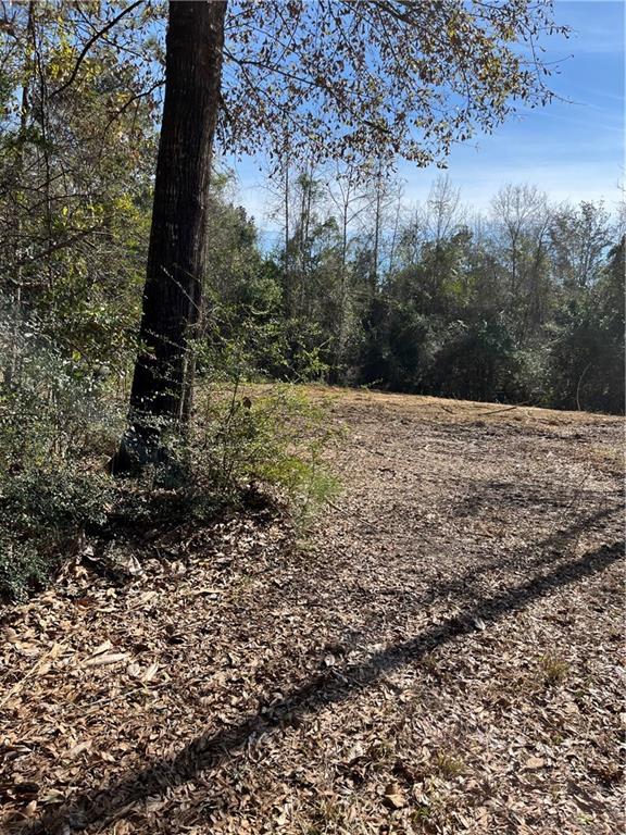 17806 Lane Road Bogalusa, LA 70427 - Photo 2 of 24