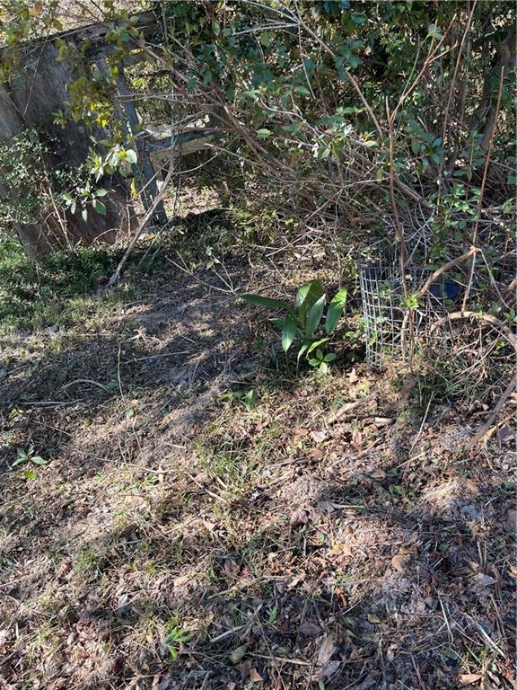 17806 Lane Road Bogalusa, LA 70427 - Photo 22 of 24