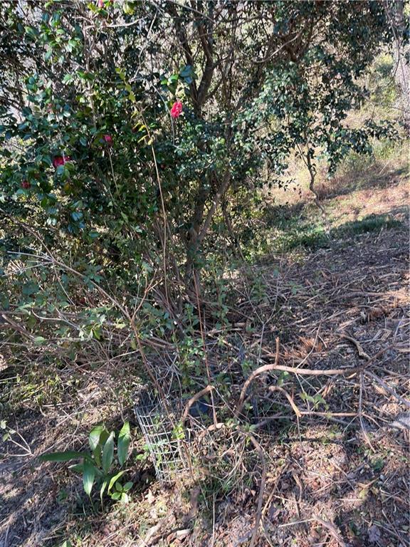 17806 Lane Road Bogalusa, LA 70427 - Photo 23 of 24