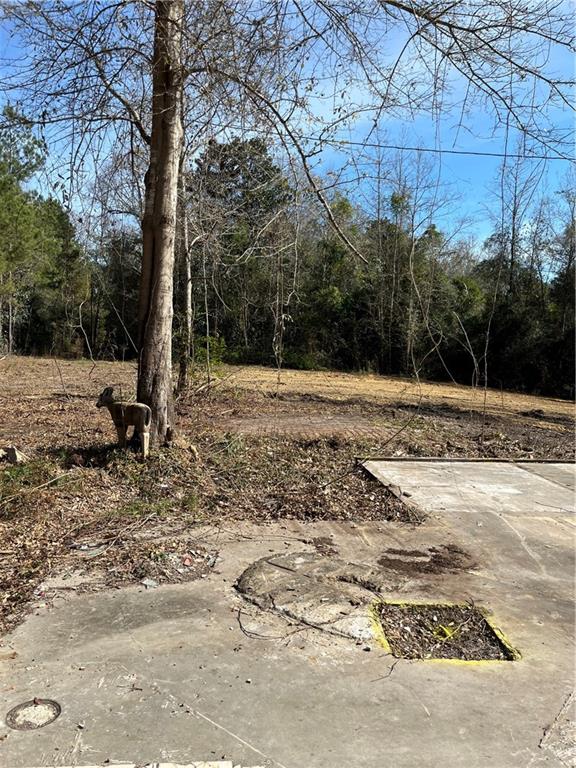 17806 Lane Road Bogalusa, LA 70427 - Photo 5 of 24