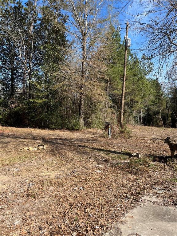 17806 Lane Road Bogalusa, LA 70427 - Photo 6 of 24