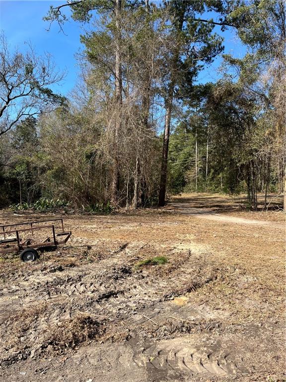 17806 Lane Road Bogalusa, LA 70427 - Photo 7 of 24