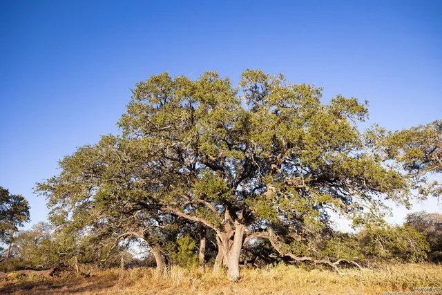 $147,320 | 1300 Pr Vista Hills Lane, Somerset, TX 78069