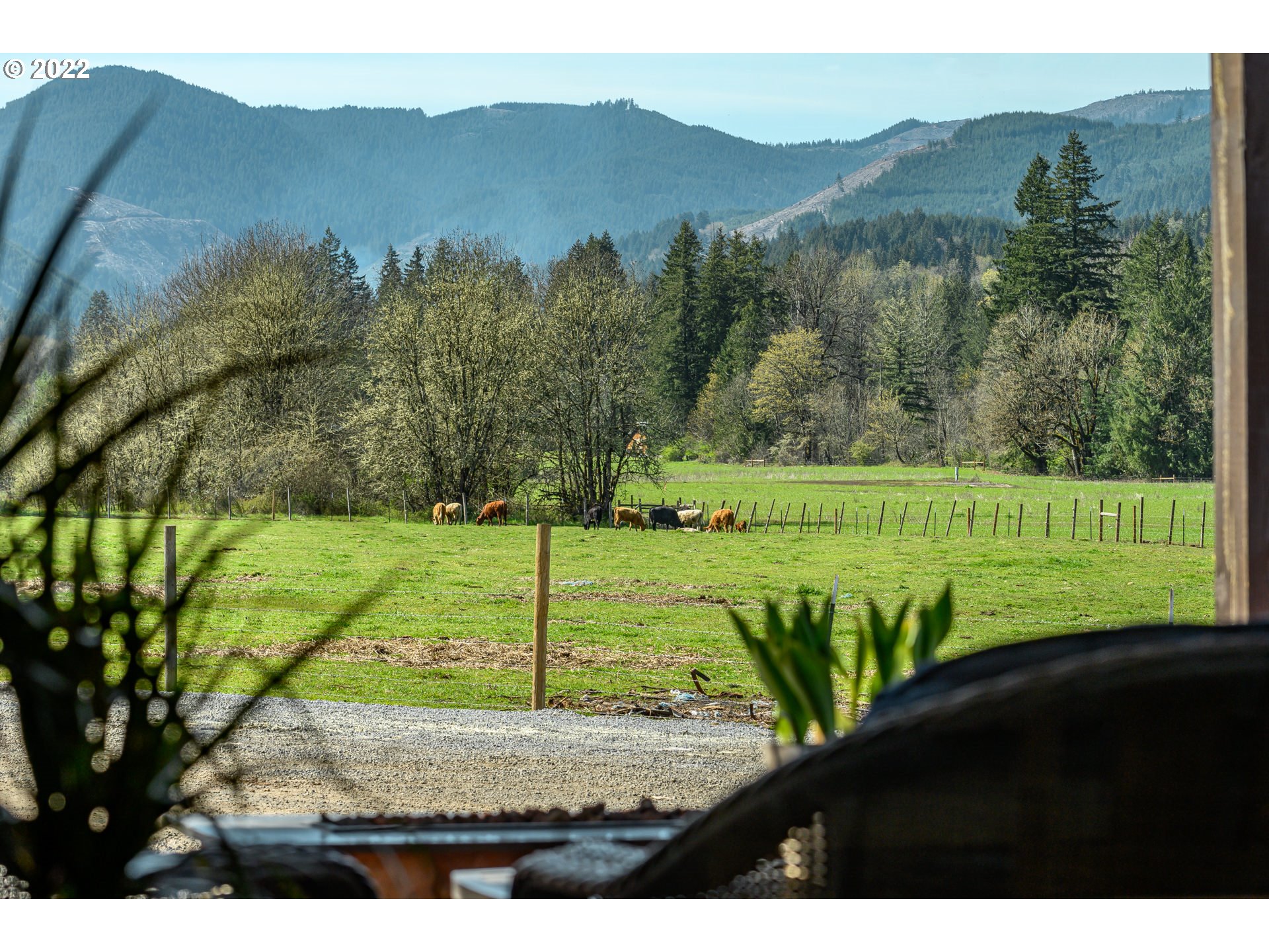 22300 Northwest Flying M Road Yamhill, OR 97148 - Photo 26 of 32 Gallery Image 26