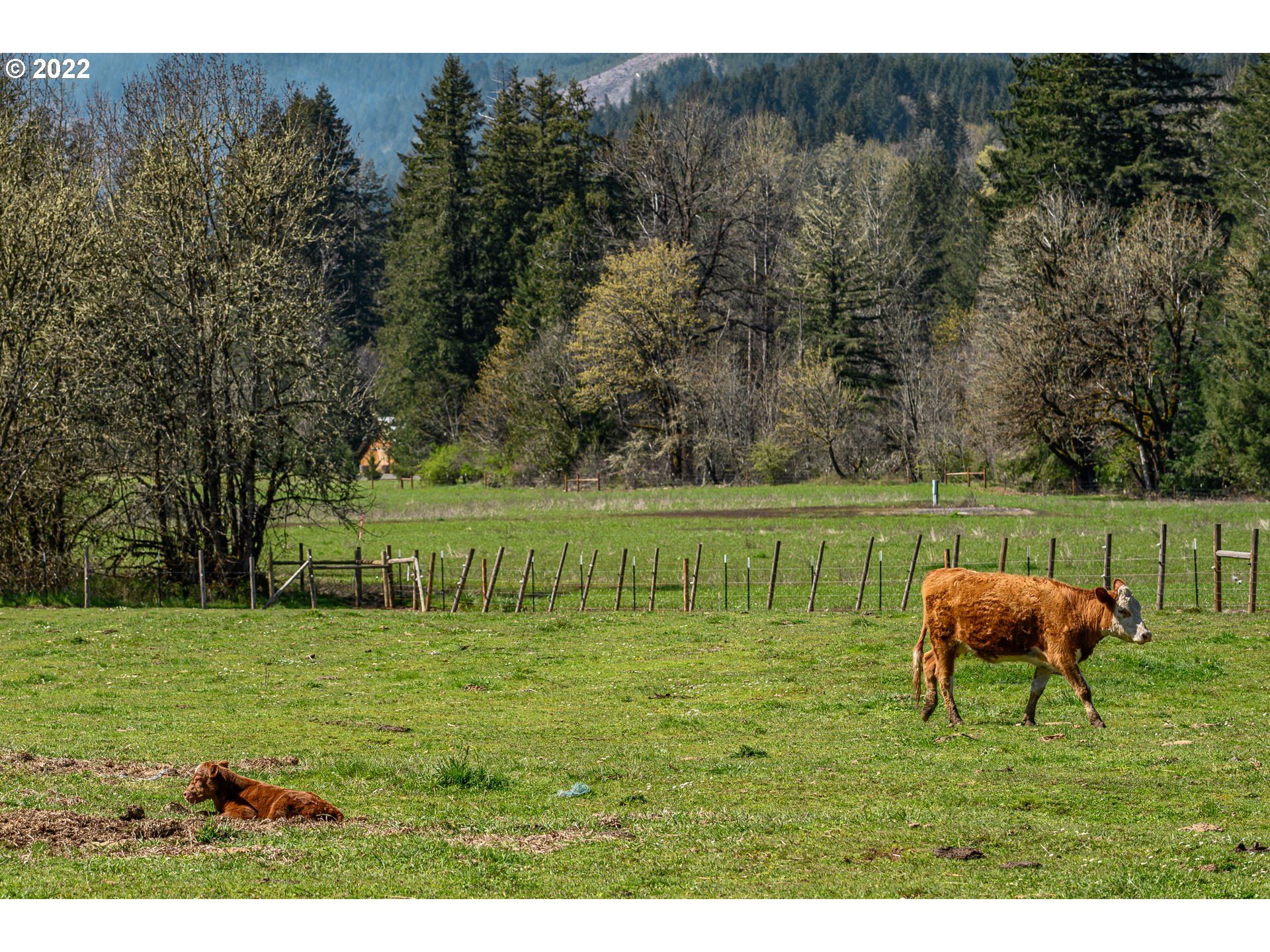 22300 Northwest Flying M Road Yamhill, OR 97148 - Photo 27 of 32 Gallery Image 27