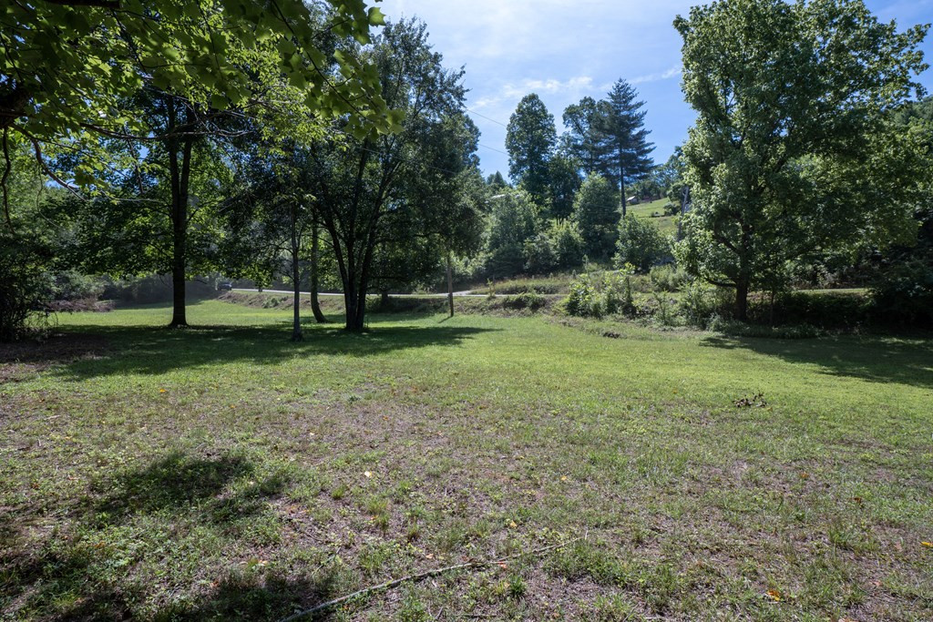 Tbd Ed Graves Road Murphy, NC 28906 - Photo 22 of 23