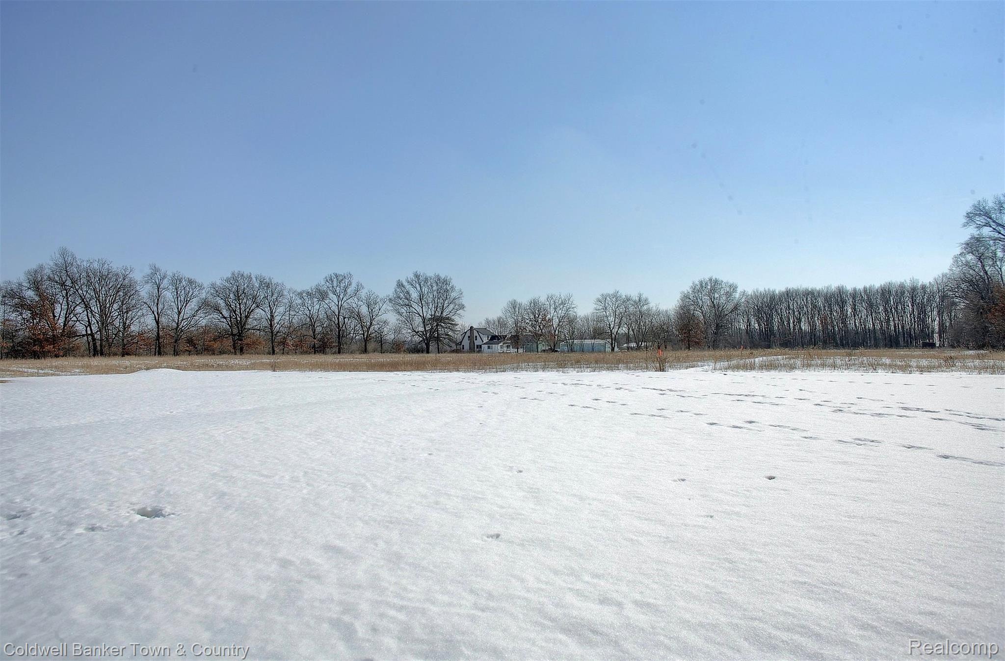 10227 White Road Linden, MI 48451 - Photo 34 of 43 Backyard-2nd-View (2).jpg