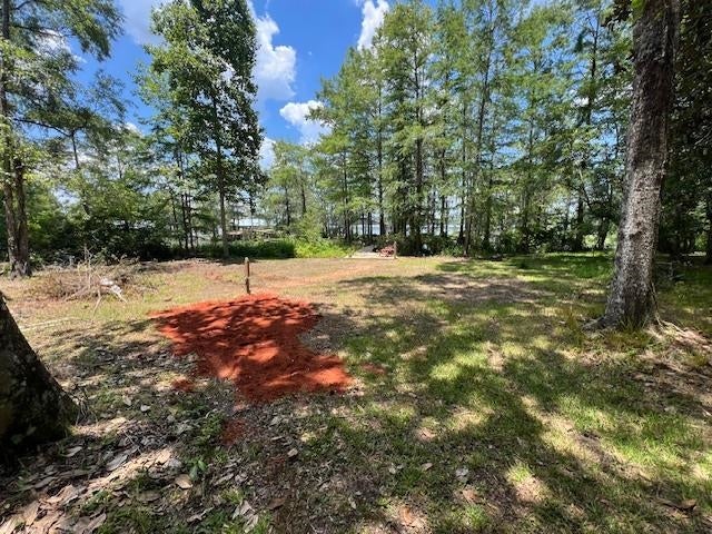 31372 Joe Hughes Road Andalusia, AL 36421 - Photo 14 of 45 Gallery Image 14
