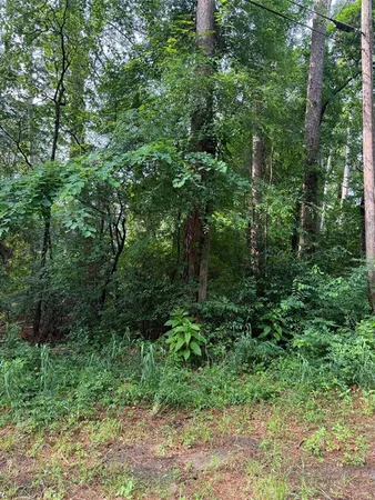 $14,500 | 23575 3 Points Drive, Frankston, TX 75763