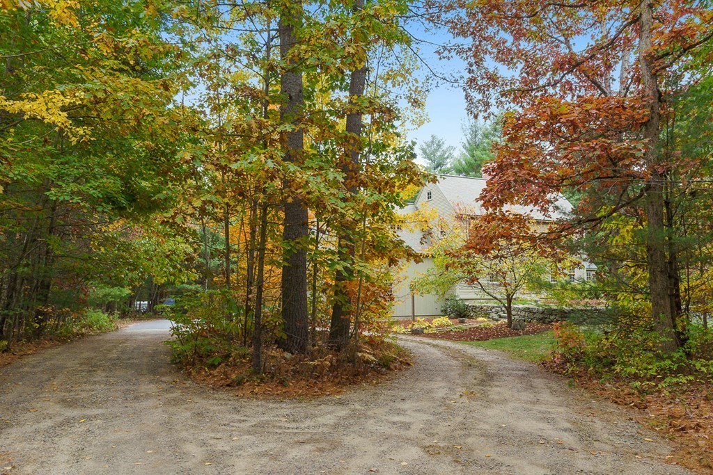 88 Bullard Road Princeton, MA 01541 - Photo 41 of 41 a view of a yard with plants and trees