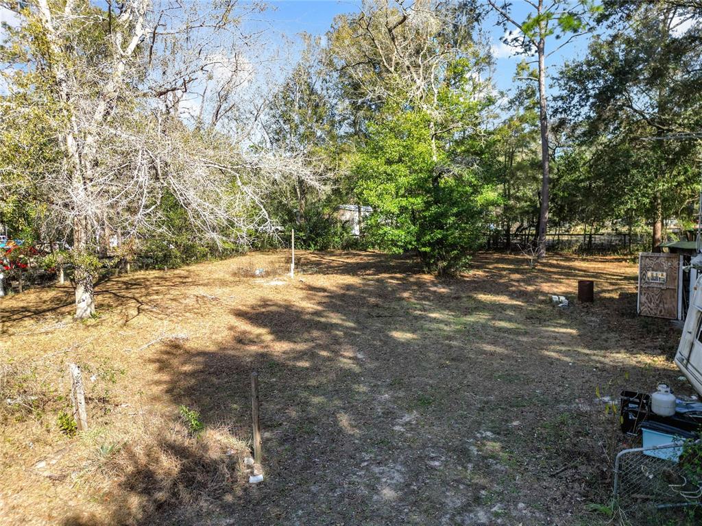 3175 Southwest 181st Court Dunnellon, FL 34432 - Photo 21 of 35 a view of a yard with a tree