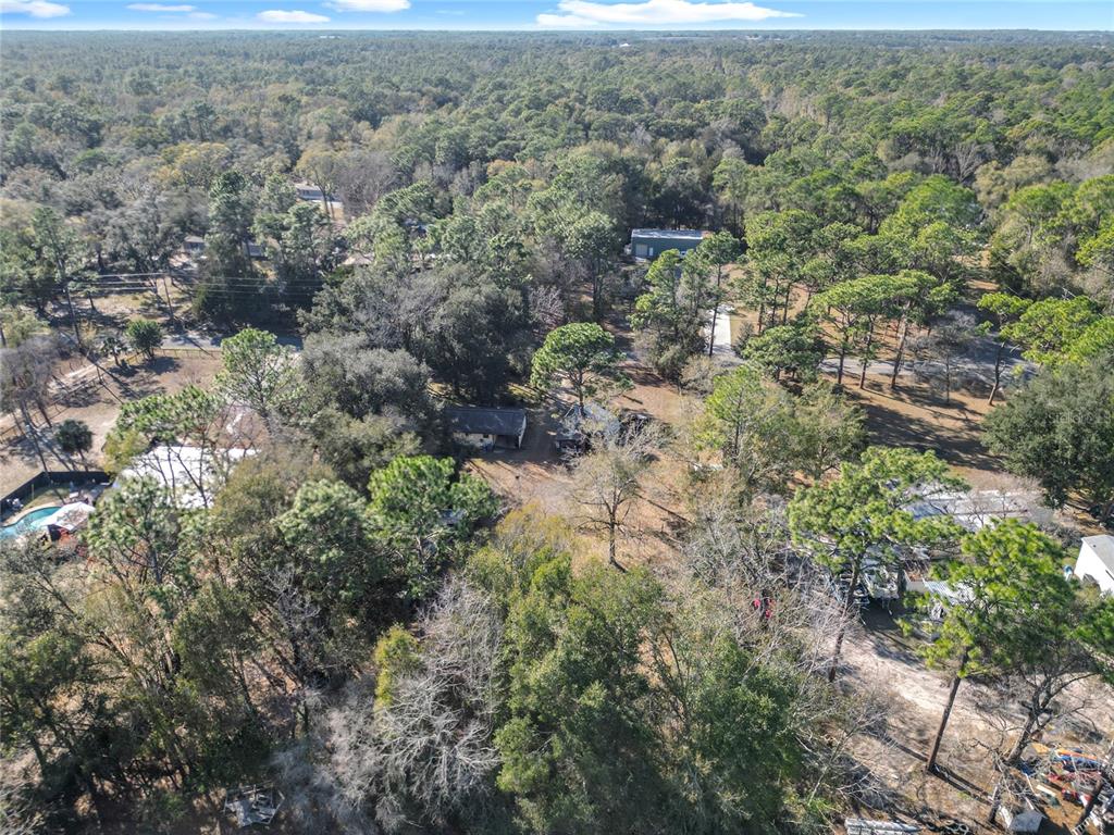 3175 Southwest 181st Court Dunnellon, FL 34432 - Photo 30 of 35 a view of a forest with a street