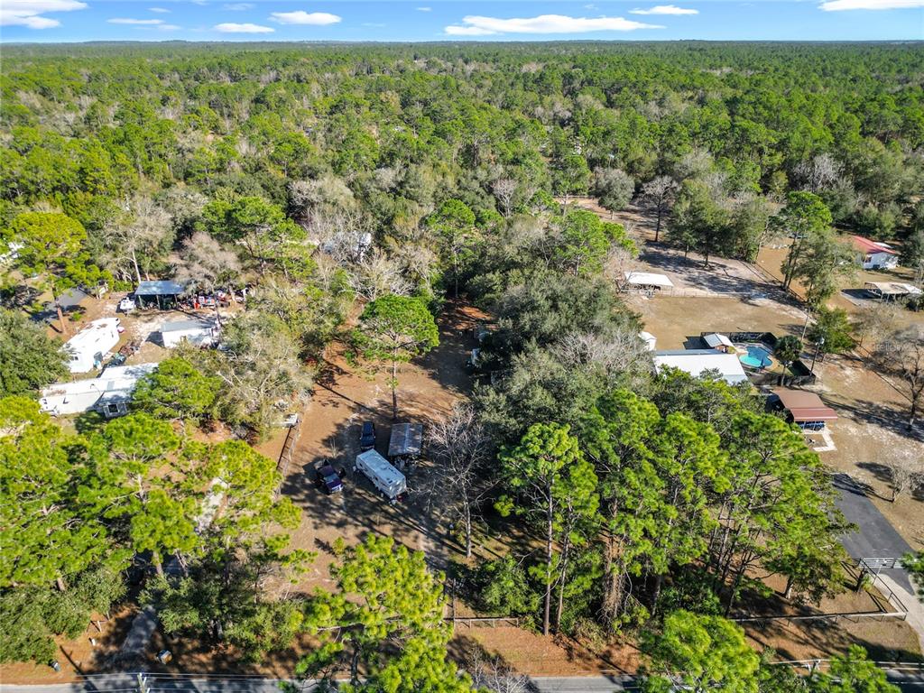 3175 Southwest 181st Court Dunnellon, FL 34432 - Photo 34 of 35 a view of a yard with plants and large trees