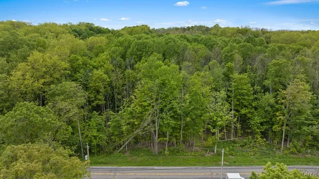 $149,000 | 0 State Route 38, Scipio Center, NY 13147