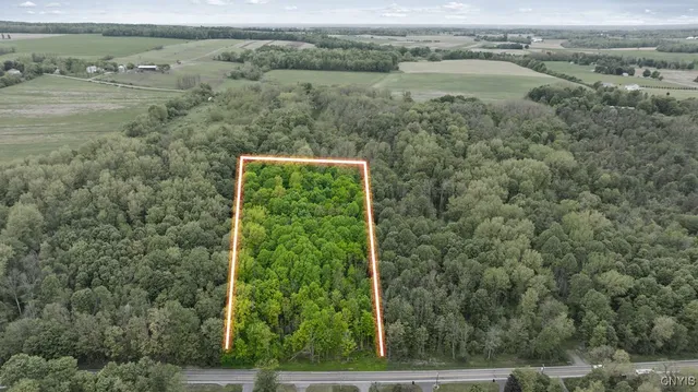 $149,000 | 0 State Route 38, Scipio Center, NY 13147